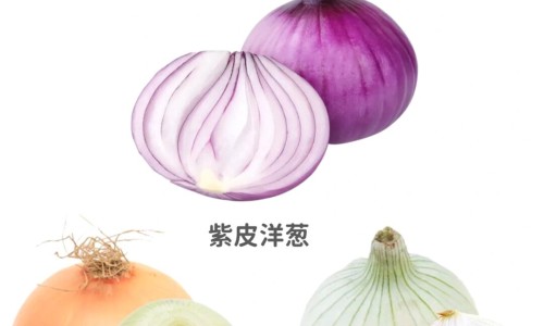 中药的药用价值及功效-中草药图片及药用价值专区_中药的价值专区_中草药药用价值概括网